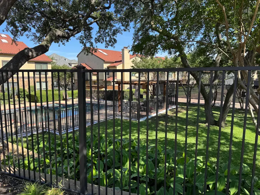 Black ornamental metal fence surrounding a backyard swimming pool